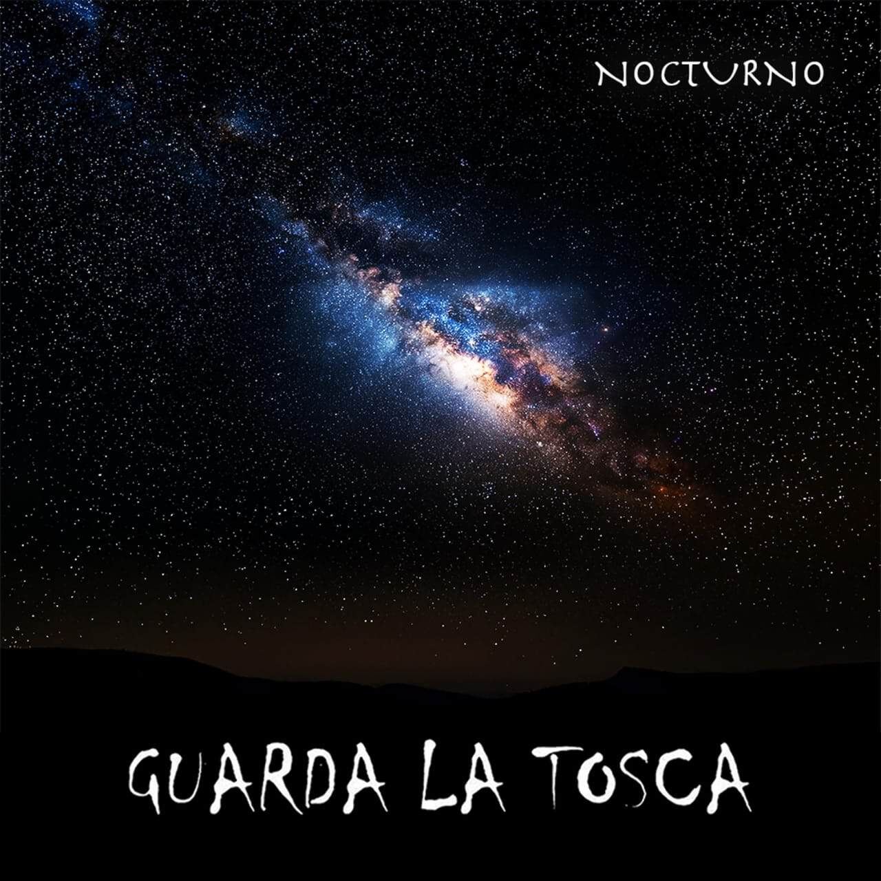 Tapa disco guarda la tosca